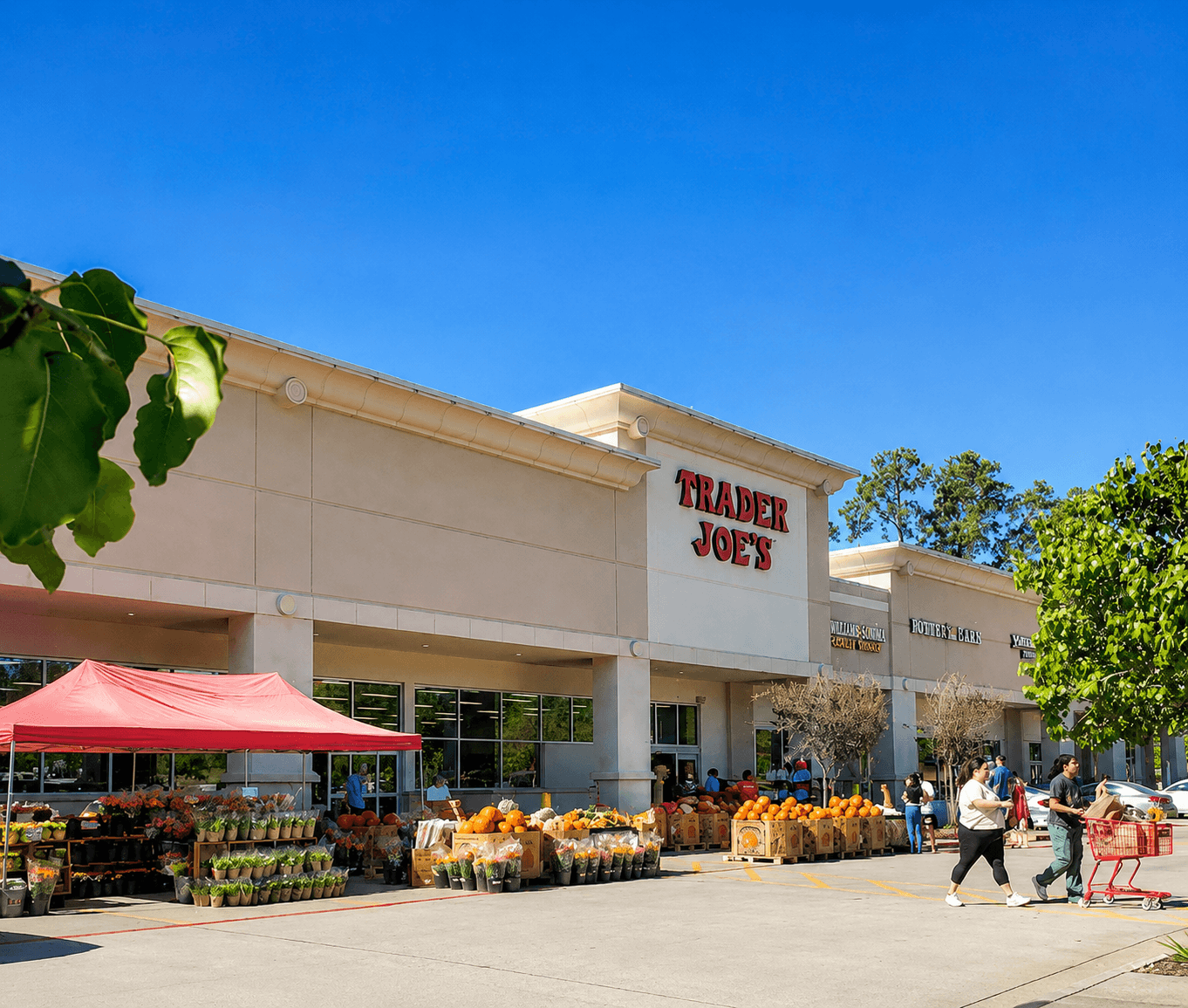 Trader Joe's